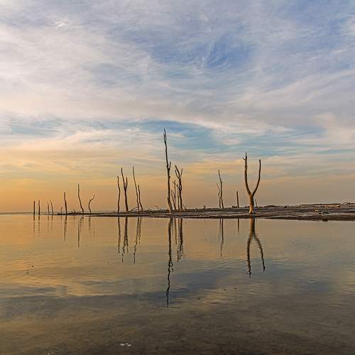 Photo #11301339
