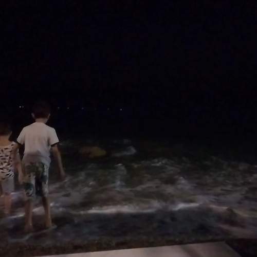 Photo #11301348