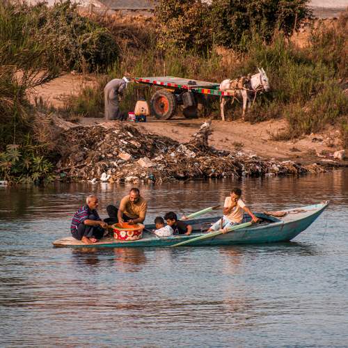 Photo #11301571