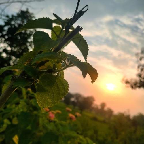 Photo #11301829