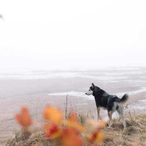 Photo #11302405