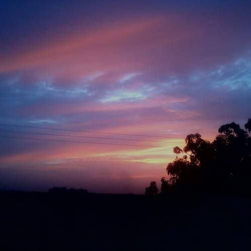 Photo #11302569