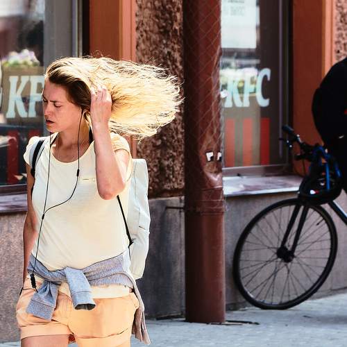 Photo #11302715