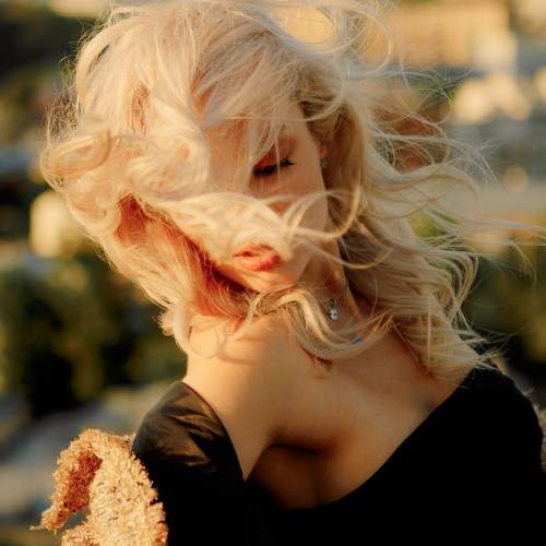 Photo #11302934