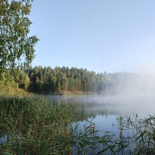 Photo #11303393