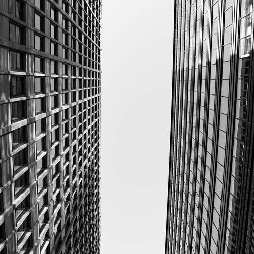 Photo #11303447