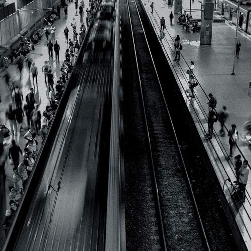Photo #11303683