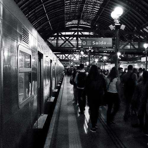 Photo #11303709