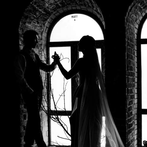Photo #11303942