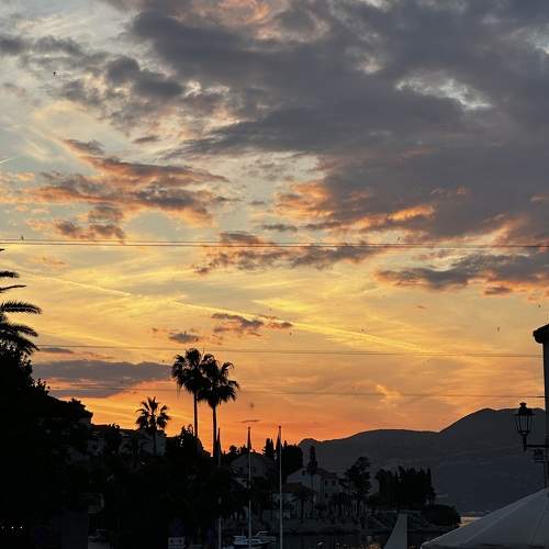 Photo #11303958