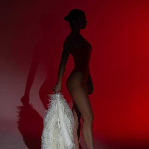 Photo #11303966