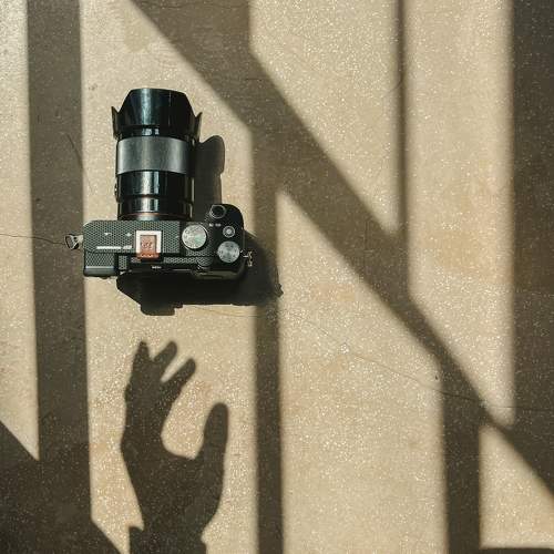 Photo #11304029