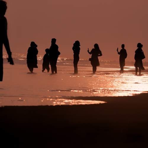 Photo #11304221