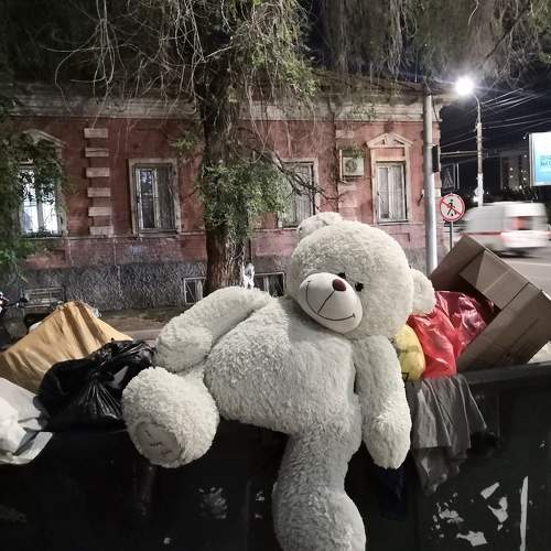 Photo #11304477