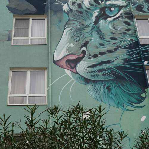 Photo #11304490