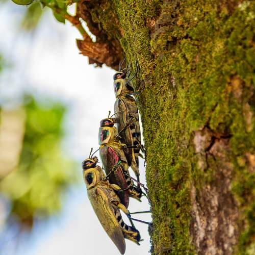 Photo #11304610
