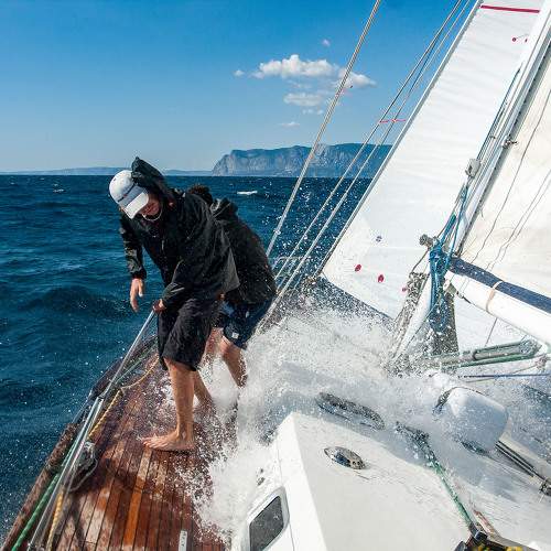 Photo #11304716