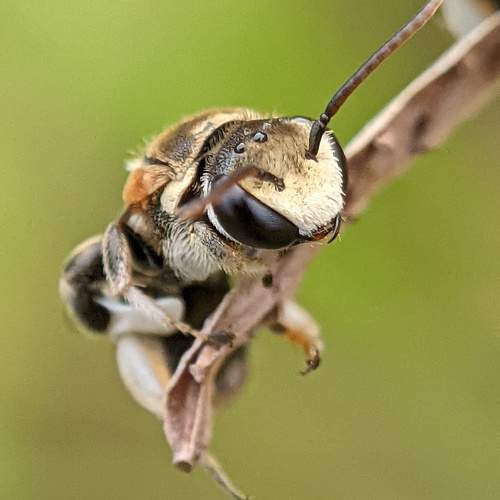 Photo #11304791