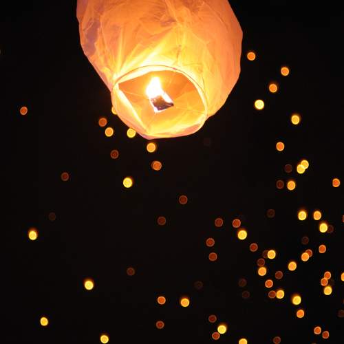 Photo #11304945