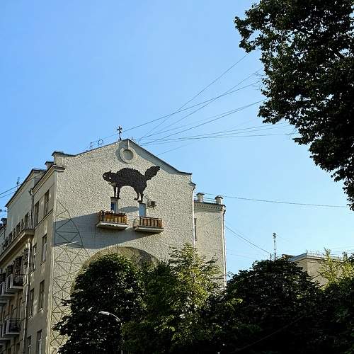 Photo #11304948