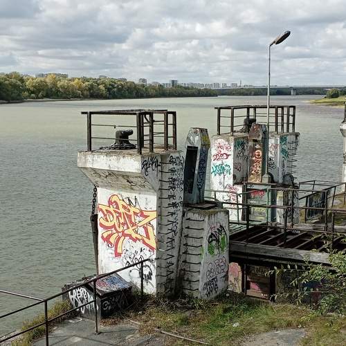 Photo #11305247