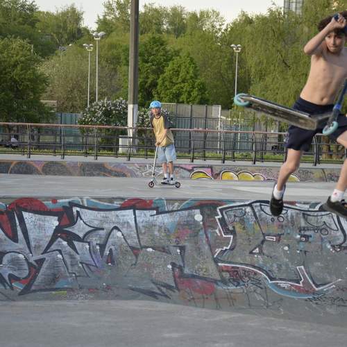 Photo #11305369