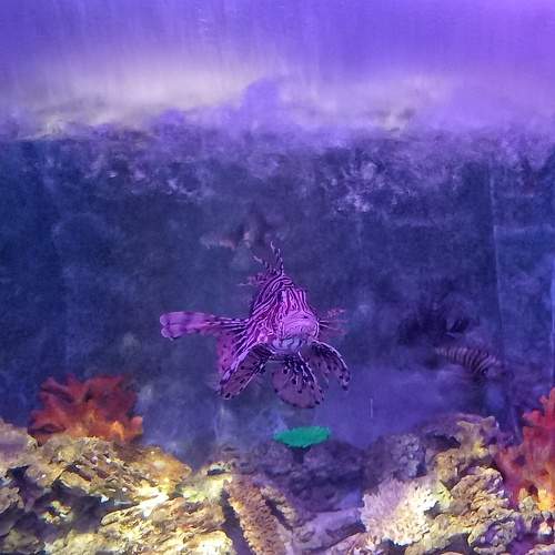 Photo #11305512