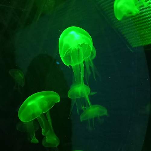 Photo #11305513