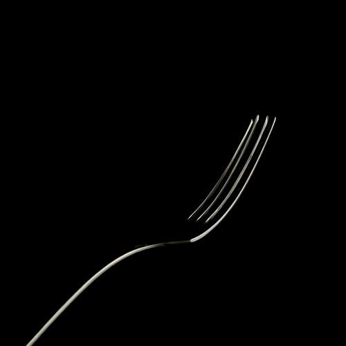 Photo #11305600