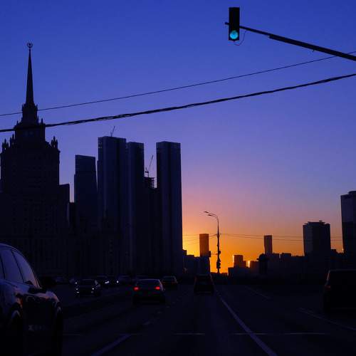 Photo #11305686