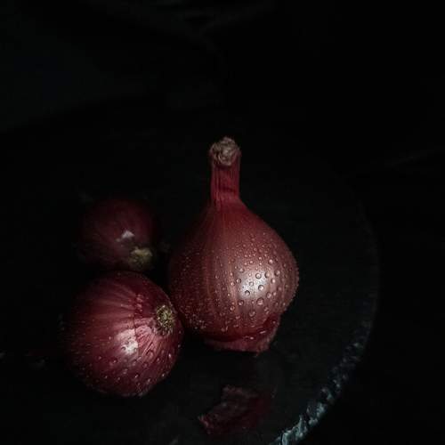 Photo #11305737