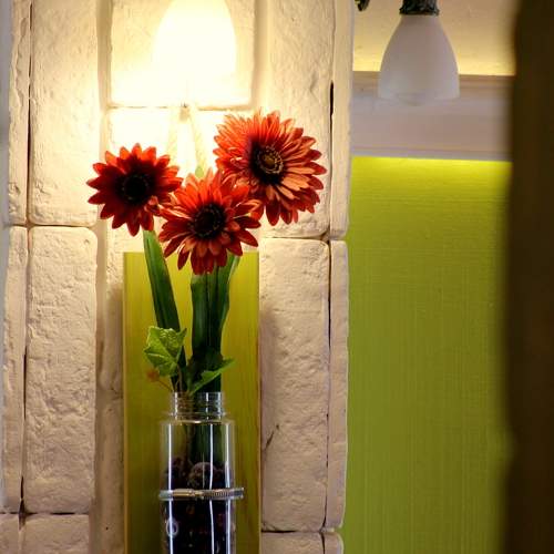 Photo #11305758