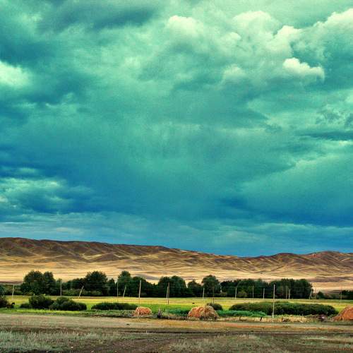 Photo #11305766