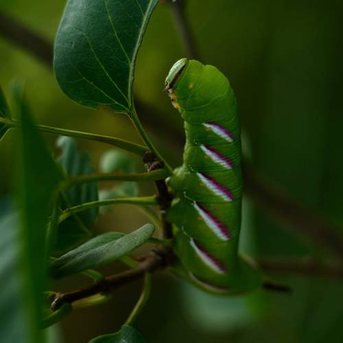 Photo #11305872
