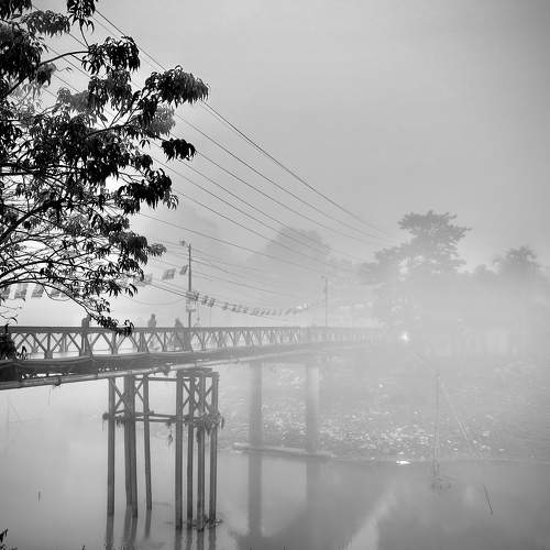 Photo #11305950