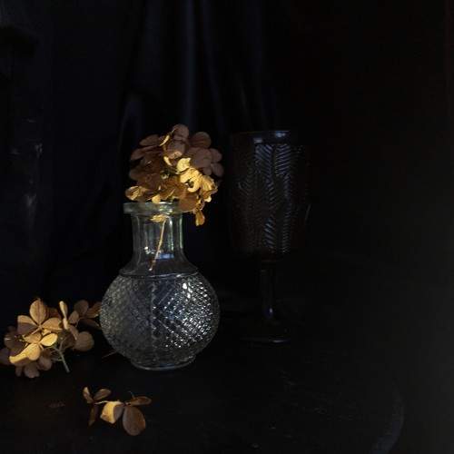 Photo #11306301