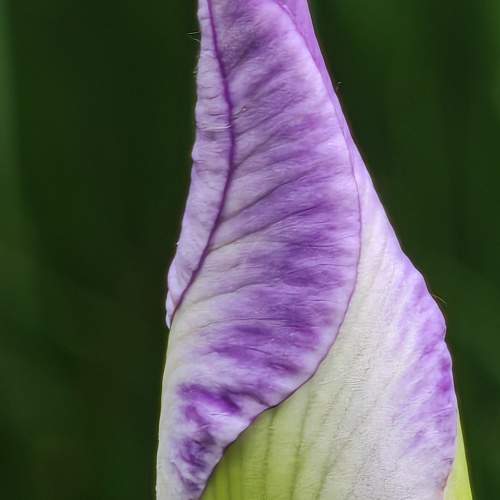 Photo #11306366