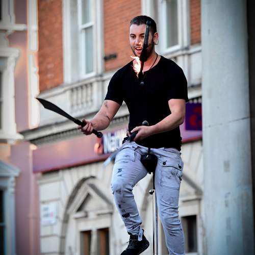 Photo #11306685