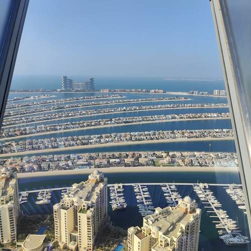 Photo #11306716