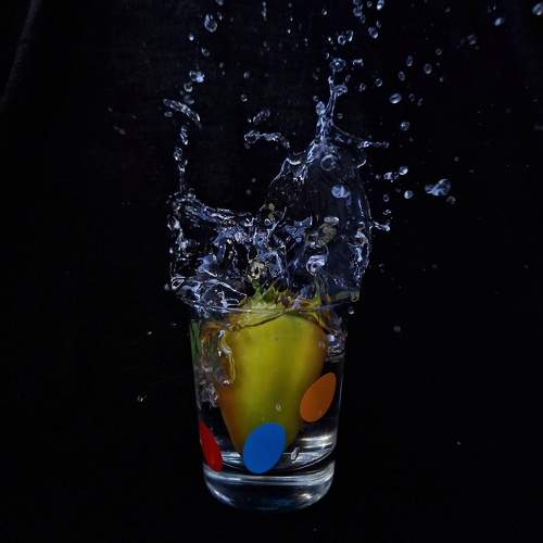 Photo #11306764