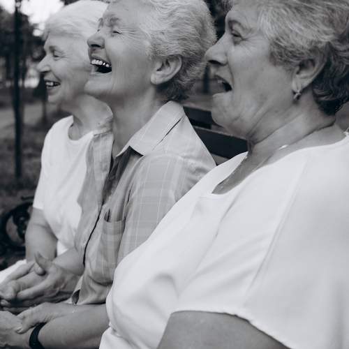 Photo #11306927