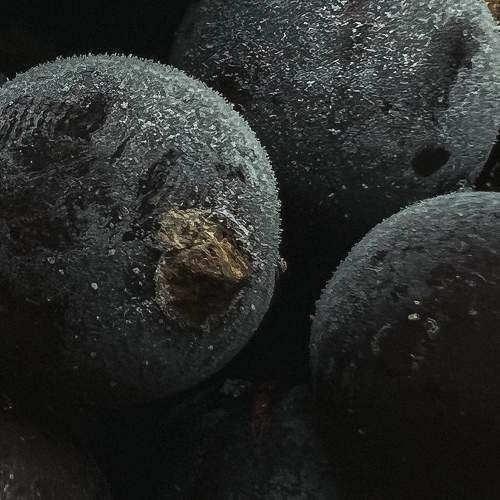 Photo #11307005