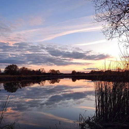 Photo #11307101