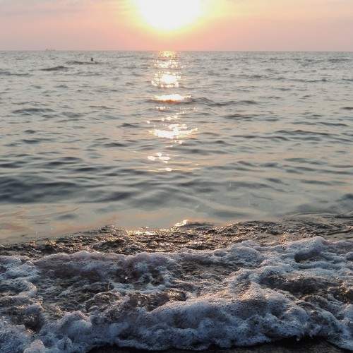 Photo #11307112
