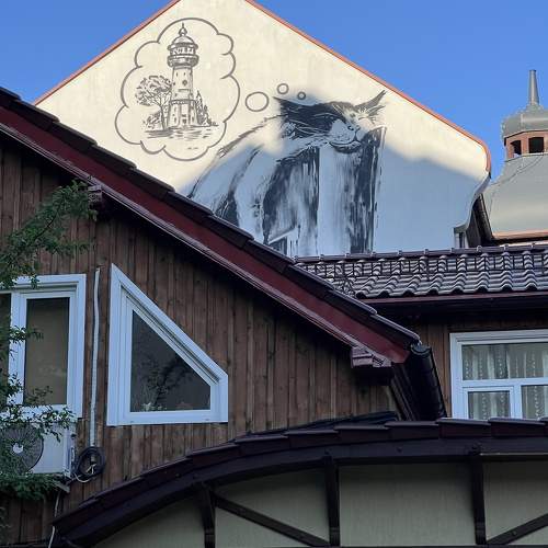 Photo #11307286