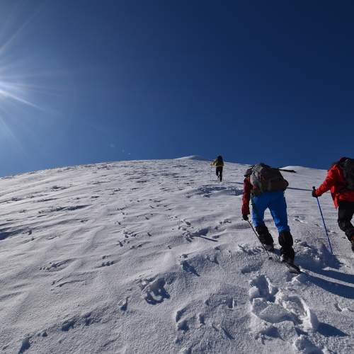 Photo #11307485