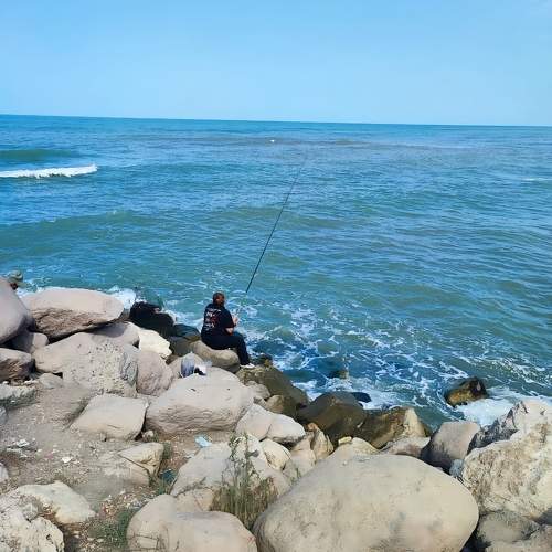 Photo #11307611