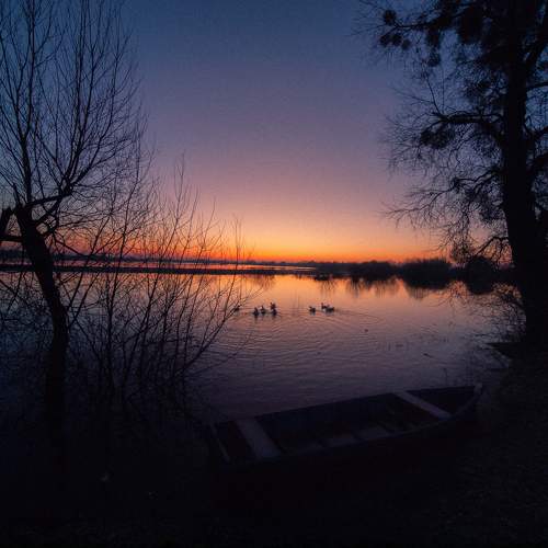 Photo #11307743