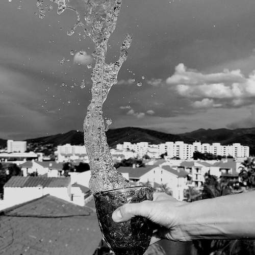 Photo #11307926