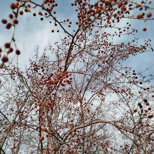 Photo #11307940